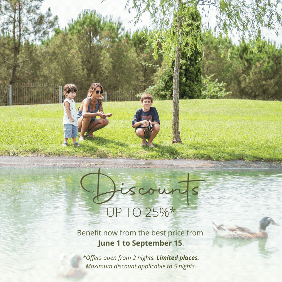 Hotel Mas Sola Official  Best Price Guaranteed Hotel 4* Spa